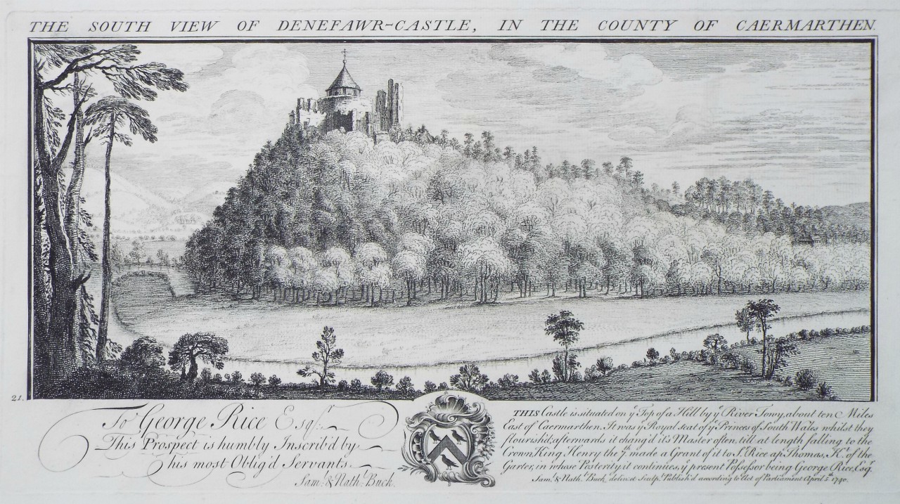 Print - The South View of Denfawr-Castle, in the County of Caermarthen. - Buck